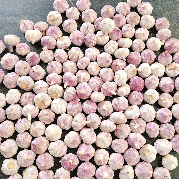 Huaang Food Processing оголошує про розширення ланцюжка поставок свіжого часнику