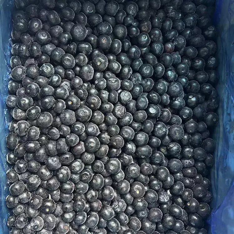 Заморожена чорниця Premium IQF Blueberry