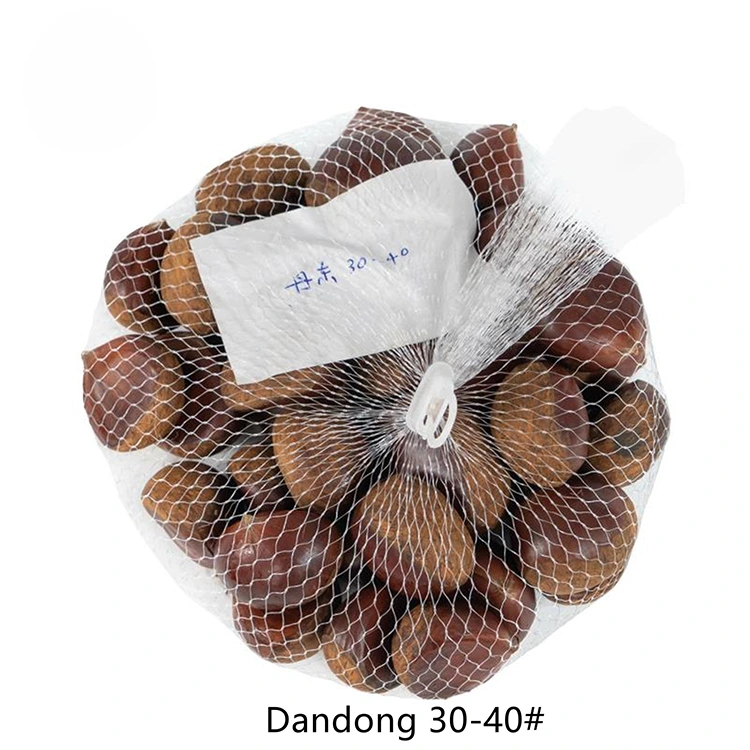 Premium Quality Chestnuts